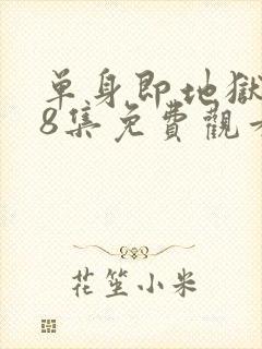 单身即地狱5第8集免费观看封面