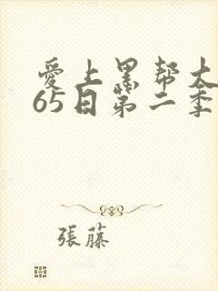 爱上黑帮大佬365日第二季封面