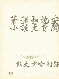 萧渊和沈安安的小说免费阅读封面