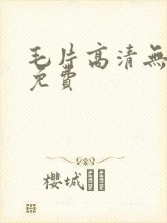毛片高清无遮挡免费