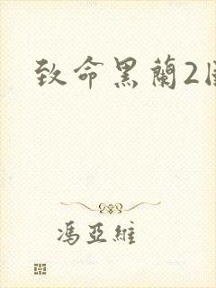 致命黑兰2国语