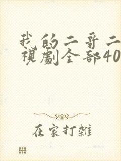 我的二哥二嫂电视剧全部40集