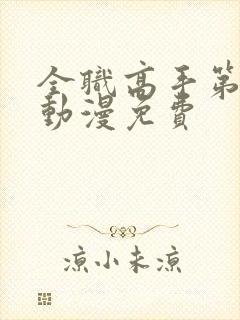 全职高手第一季动漫免费