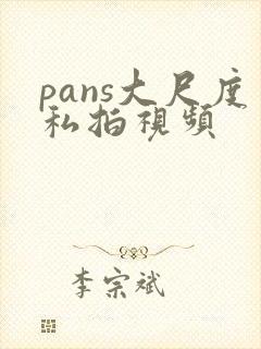 pans大尺度私拍视频