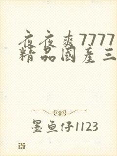 夜夜爽7777精品国产三级
