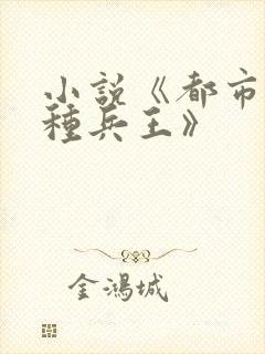 小说《都市之特种兵王》