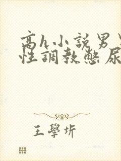 高h小说男男双性调教憋尿