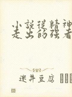 小说从精神病院走出的强者全文