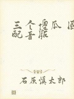 三个傻瓜 国语配音版