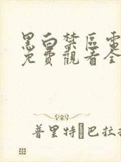黑白禁区电视剧免费观看全集高清