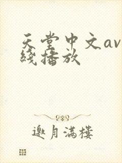 天堂中文av在线播放