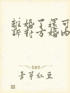 离婚了还可以起诉对方婚内出轨吗