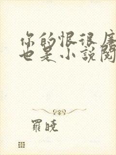 你的恨很廉价爱也是小说阅读封面