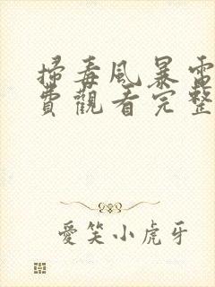 扫毒风暴电影免费观看完整版高清封面