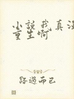 小说 我真没想重生啊封面
