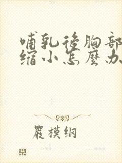哺乳后胸部下垂缩小怎么办