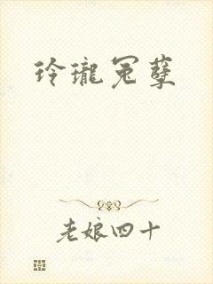 玲珑冤孽