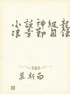 小说神级龙卫沈浪章节目录
