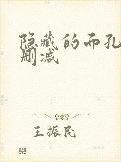 隐藏的面孔 无删减