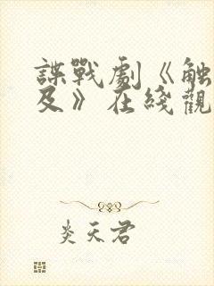 谍战剧《触不可及》在线观看