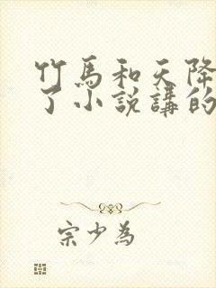 竹马和天降he了小说讲的什么