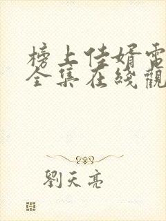 榜上佳婿电视剧全集在线观看免费