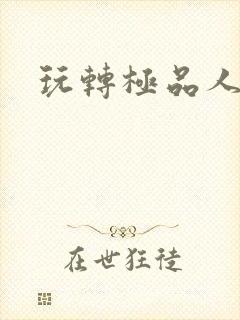 玩转极品人生封面
