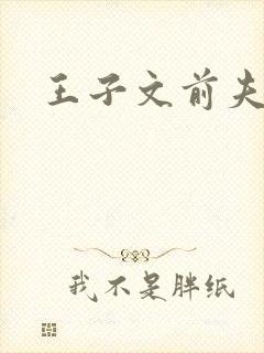 王子文前夫是谁
