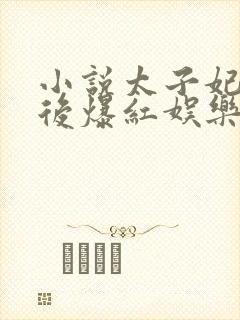 小说太子妃重生后爆红娱乐圈1封面