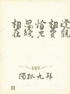 相思恰相逢短剧在线免费观看封面