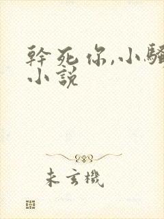 干死你,小骚货小说
