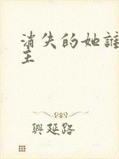 消失的她谁是男主