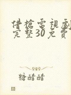借枪电视剧全集完整30免费观看封面