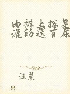 内裤上总是湿漉漉的还有尿骚味怎么回事封面