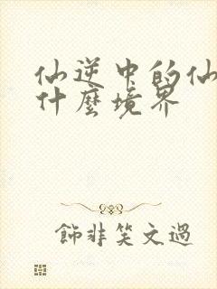 仙逆中的仙帝是什么境界