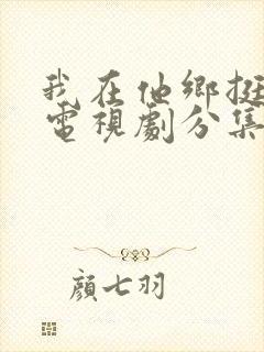 我在他乡挺好的电视剧分集剧情介绍