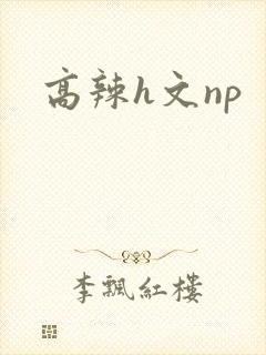 高辣h文np