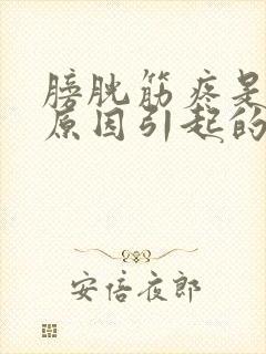 膀胱筋疼是什么原因引起的封面