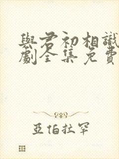 与君初相识电视剧全集免费