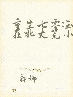 重生七零:知青在北大荒小说