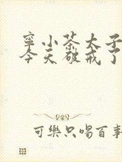 宁小茶太子殿下今天破戒了吗免费阅读封面