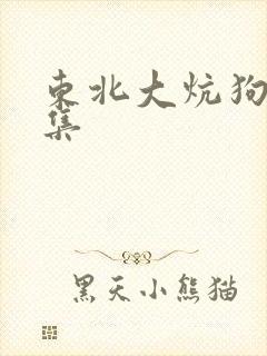 东北大炕狗儿续集