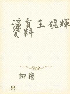 演员王砚辉个人资料