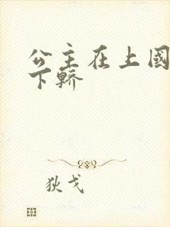 公主在上国师请下轿