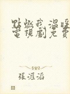 点燃我温暖你的电视剧免费观看全集