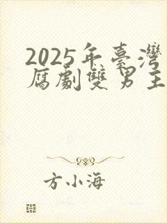 2025年台湾腐剧双男主剧