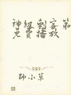 神级刺客第二季免费播放