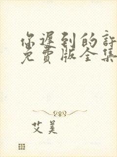 你迟到的许多年免费版全集封面