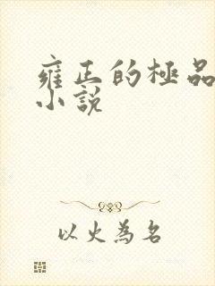 雍正的极品后宫小说