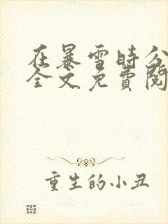 在暴雪时分小说全文免费阅读无弹窗封面